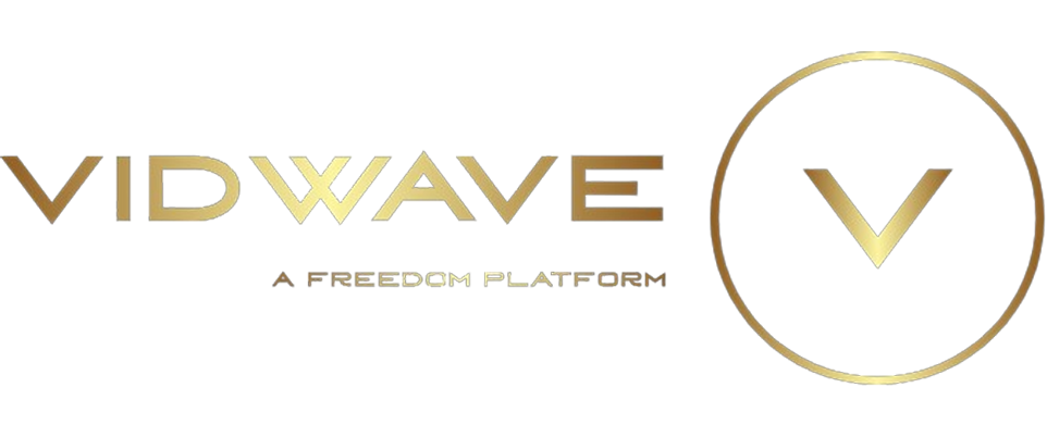 VidWave Platform